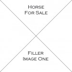Horse One For Sale