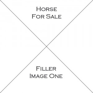 Horse One For Sale