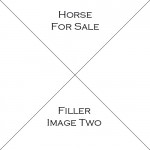 Horse Two For Sale