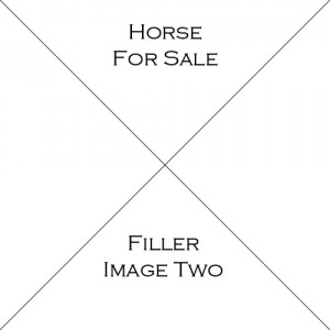 Horse Two For Sale
