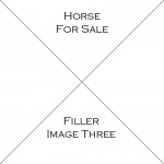 Horse Three For Sale