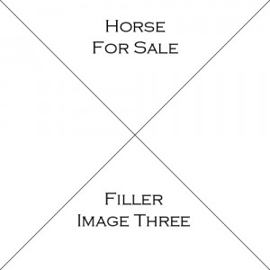 Horse Three For Sale