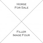 Horse Four For Sale
