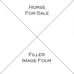 Horse Four For Sale