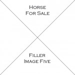Horse Five For Sale