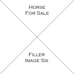 Horse Six For Sale