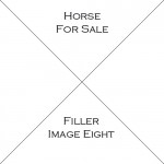 Horse Eight For Sale