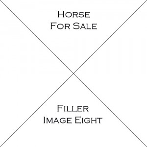 Horse Eight For Sale
